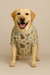 Wild Buddies Outfit