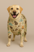 Wild Buddies Outfit